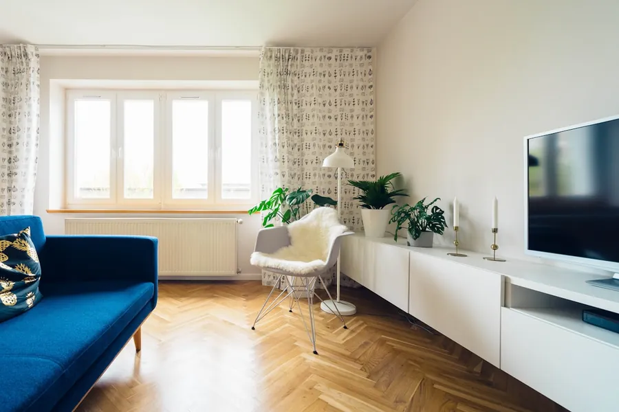 Bright living room with a blue sofa